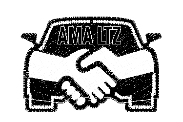AMA LTZ LLC